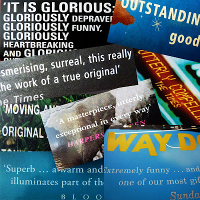 blurbs pic1