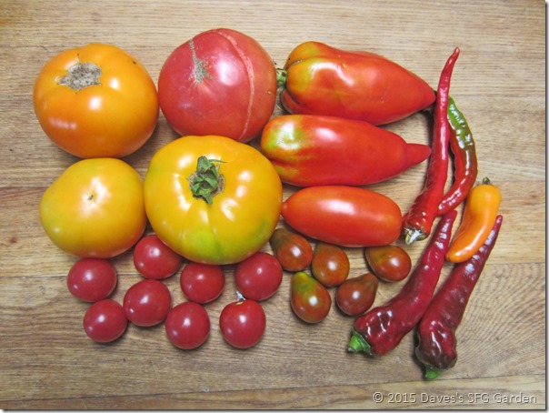 tomatoes&peppers