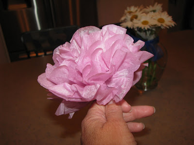 tissue paper flowers how to. of tissue paper flowers