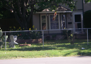 Good thing they've got that fenced up, or I'd be rolling around with a new eagle, my friends.