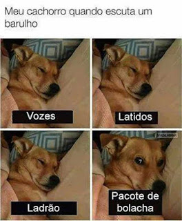 Título das quatro fotos dispostas em duas linhas e duas colunas: Meu cachorro quando escuta um barulho. O cãozinho vira-lata de pelagem amarela e focinho preto  está recostado em almofadas, coberto por uma manta rosa claro. Abaixo de todas as fotos, uma tarja preta com escrito em letras brancas.  Q1: cãozinho de olhos fechados : Vozes.  Q2: a cena repete-se: Latidos.  Q3: continua na mesma posição: Ladrão.  Q4: o cão de olhos abertos e atentos : Pacote de bolacha.