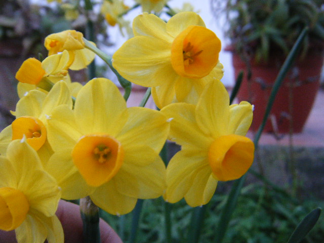 2009_02010003.JPG