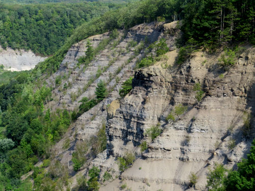 Genesee River Gorge