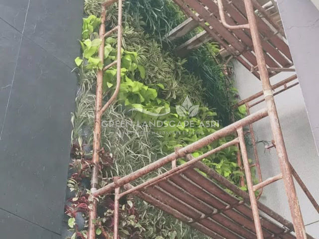 Tukang Taman Vertikal Jombang - Harga Pembuatan Vertical Garden Berkualitas