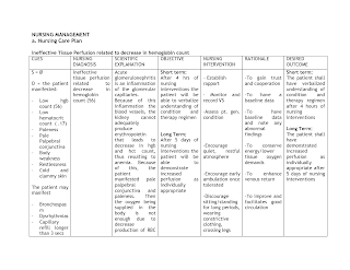 Anemia nursing care plan - Nursing Care Plan Examples