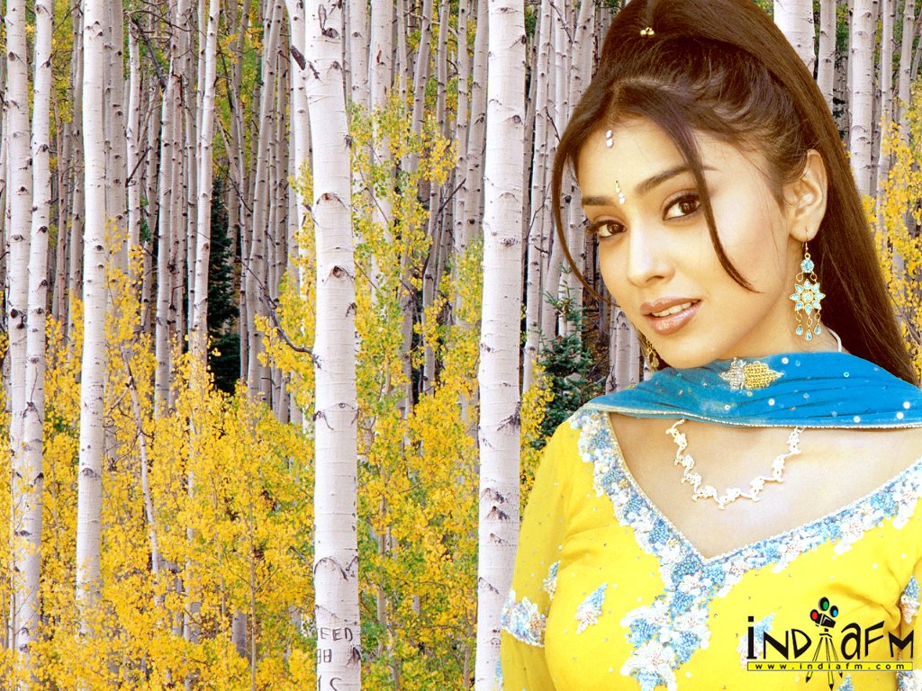 Bollywood Actress shereya Sharan wallpaper Download
