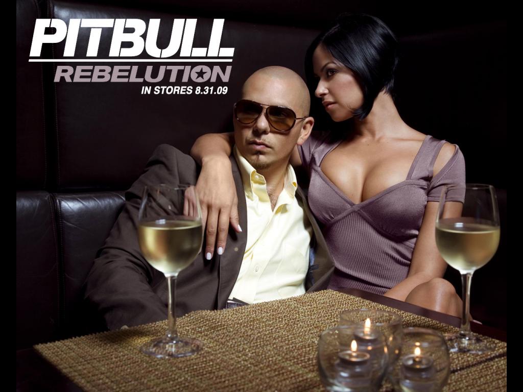 Pitbull - Wallpaper Actress