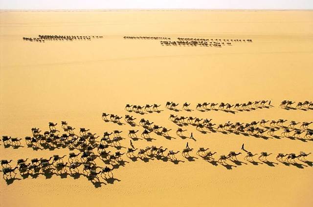 pedagang di Fachi, Niger