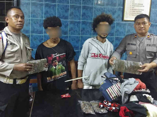 Polisi Tangkap 2 Remaja Penyeludup Ganja Kering ke Sorong