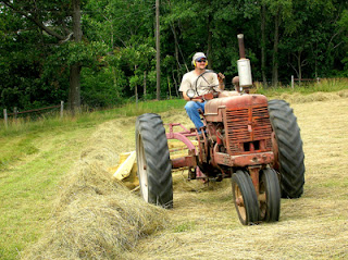 raking hayfield 4