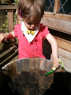 planting seeds