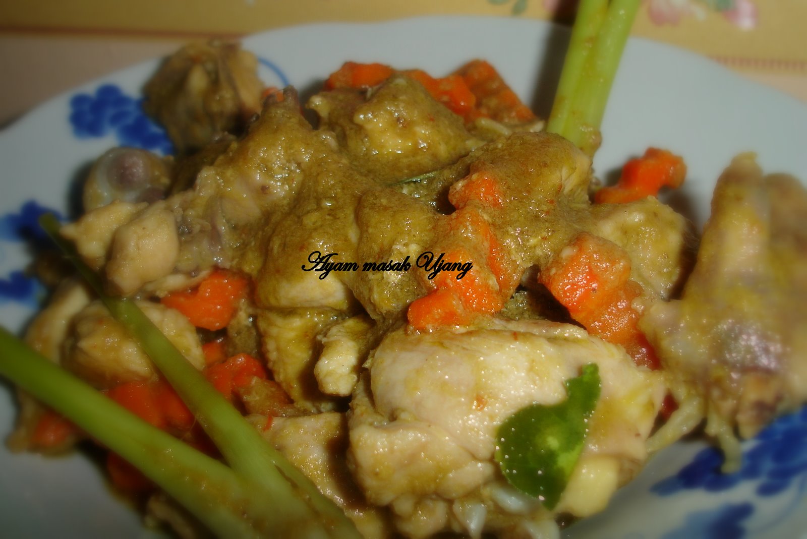 Mylittledapur2: Ayam masak ujang