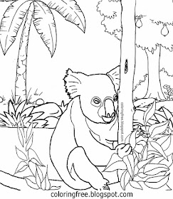 Local mammals of Australia cute koala printables Australian clipart colouring for kids to colour in