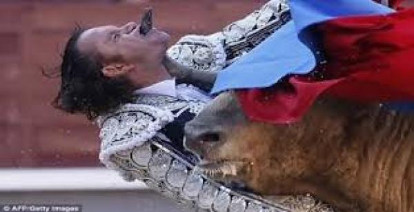 Kisah Tragis Dari Seorang Matador Profesional Yang Tewas Ditandung Banteng Saat Atraksi