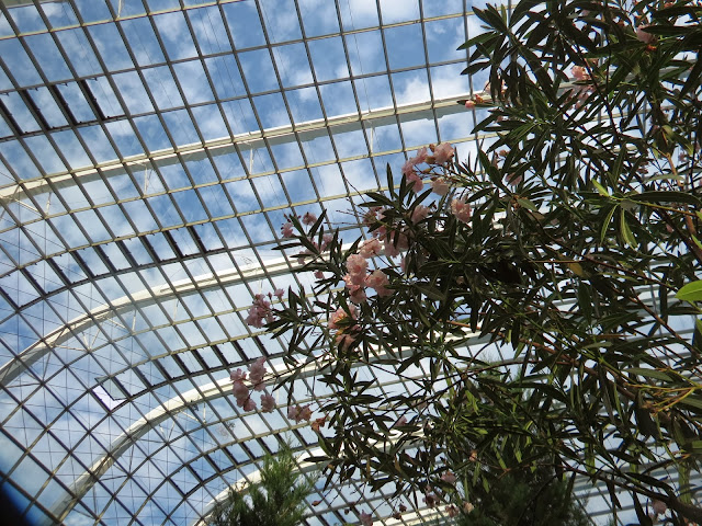 Gardens by the bay flowers