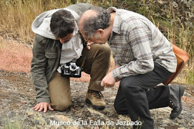 Juzbado, Museo de la falla de Juzbado