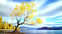 Digital Photography School Com