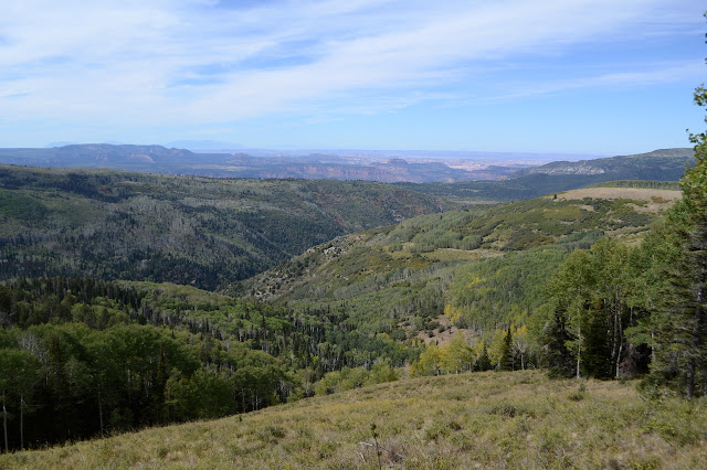 Indian Creek to canyons below