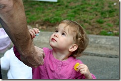 2010-03-28 (72)