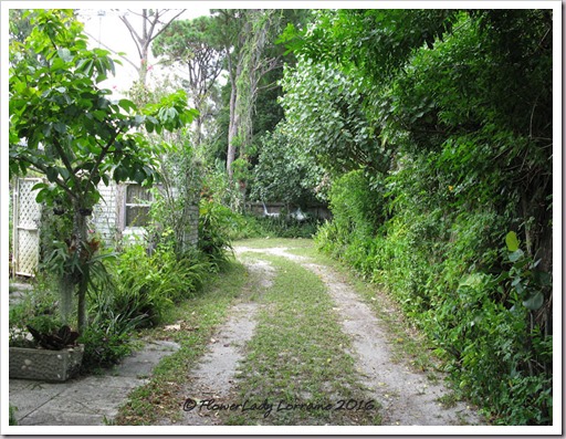 08-01-driveway