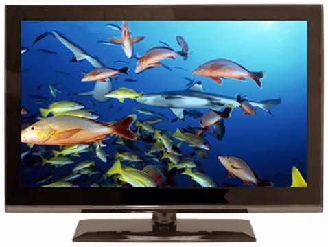 tv screen with fish