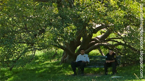 Police officers relax under a shady tree in Costanera Sur Ecological Reserve in Buenos Aires, Argentina