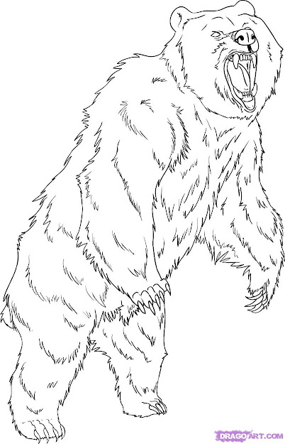 Grizzly Bear Coloring Pages  How To Draw Grizzly Bear Step By Step
