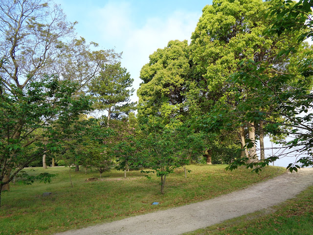 竜ヶ山公園