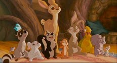 05 les animaux