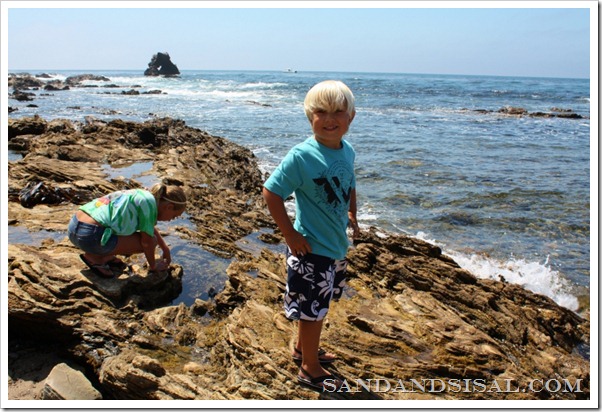 Little Corona Newport Beach Tide Pools