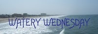 WateryWed2c