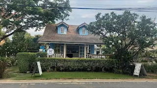 Blue Butterfly in Pranburi