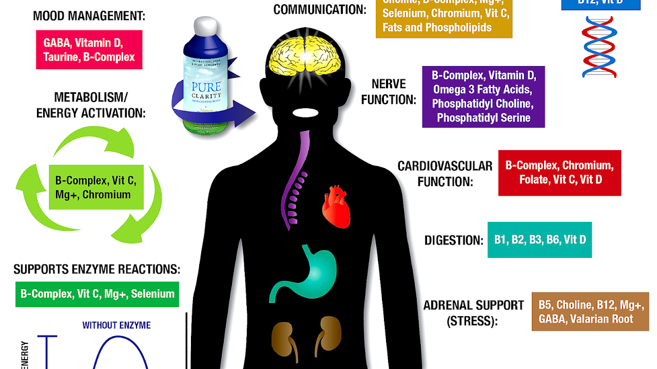 Adhd Effects On The Brain