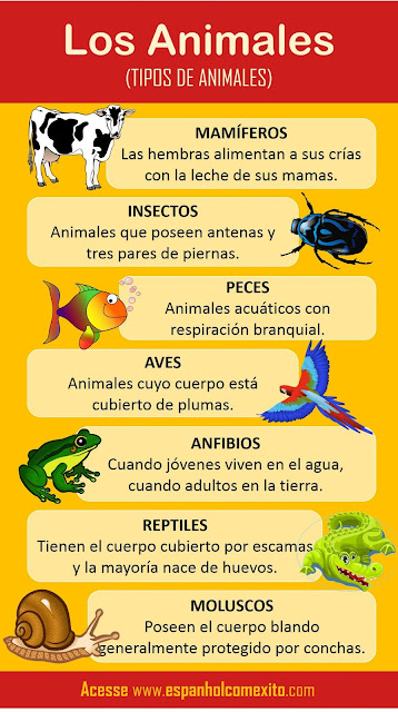 animais em espanhol