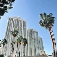 Tall Trees