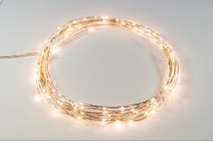 http://www.amazon.com/Warm-White-Lights-Silver-Wire/dp/B0097YM4JU/ref=sr_1_1?ie=UTF8&qid=1385644421&sr=8-1&keywords=rtgs