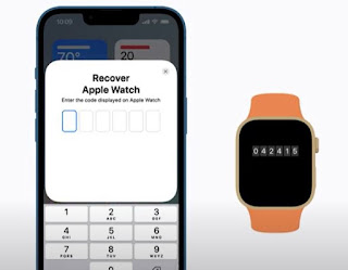 nhập mã xuất hiện trên apple watch vào Iphone