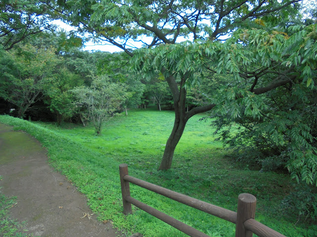 弥生の森の遊歩道