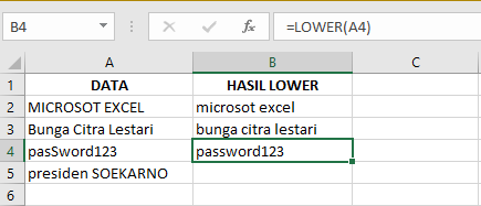 Cara Memasukkan Fungsi LOWER pada Microsoft Excel