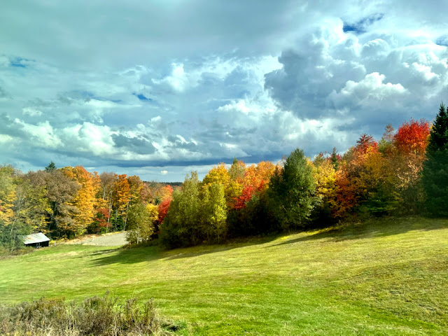 Vermont Fall Foliage. Share NOW. #fallfoliage #fall #Vermont #foliage #eclecticredbarn