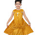 Chandrika Girls' Knee Length Dress