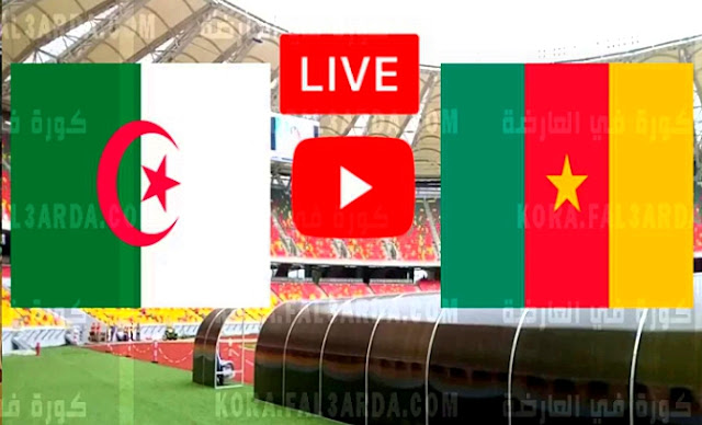 algeria vs cameroon live