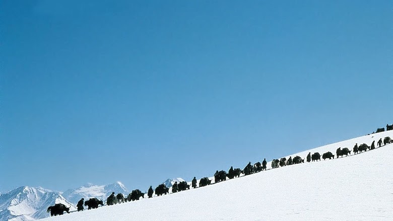Himalaya - l'enfance d'un chef 1999 bonne qualité