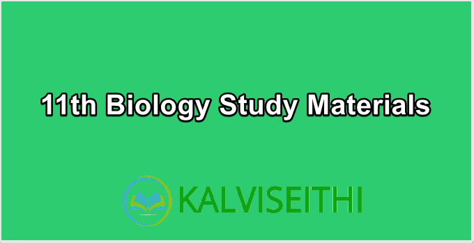 11th Biology Study Materials