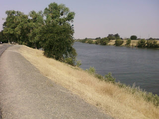 levee