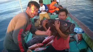 Spot Mancing di Padang Target Ruby Snapper