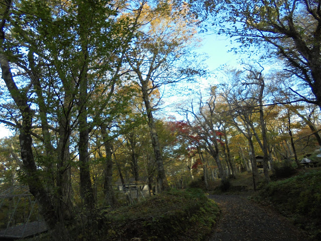 下山キャンプ場