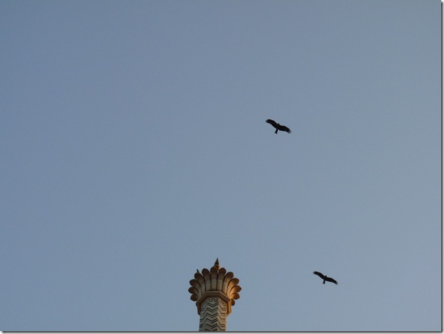 2008.12_india_1310