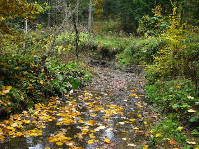 trasa-dookoła-góry-brzanki