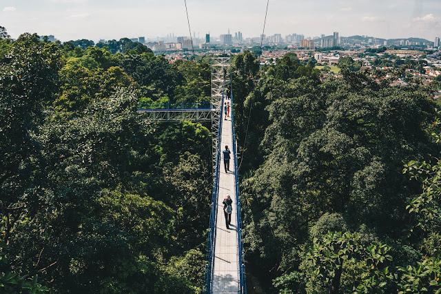 FOREST RESEARCH INSTITUTE MALAYSIA (FRIM), KEPONG